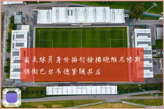 南美球员身价排行榜揭晓维尼修斯领衔巴尔韦德紧随其后