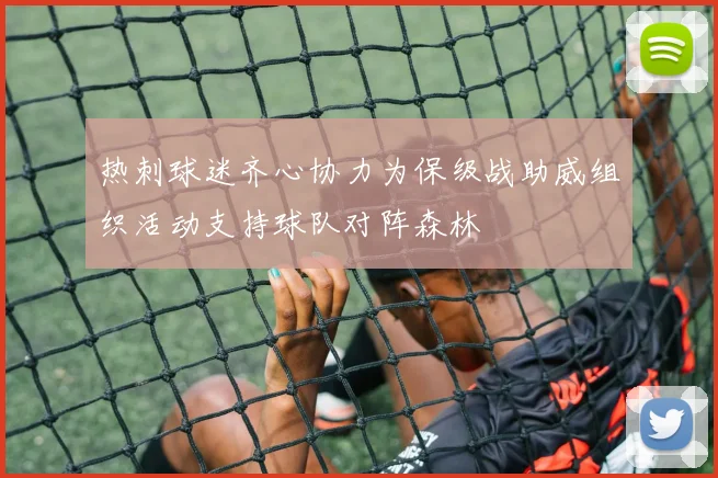 热刺球迷齐心协力为保级战助威组织活动支持球队对阵森林